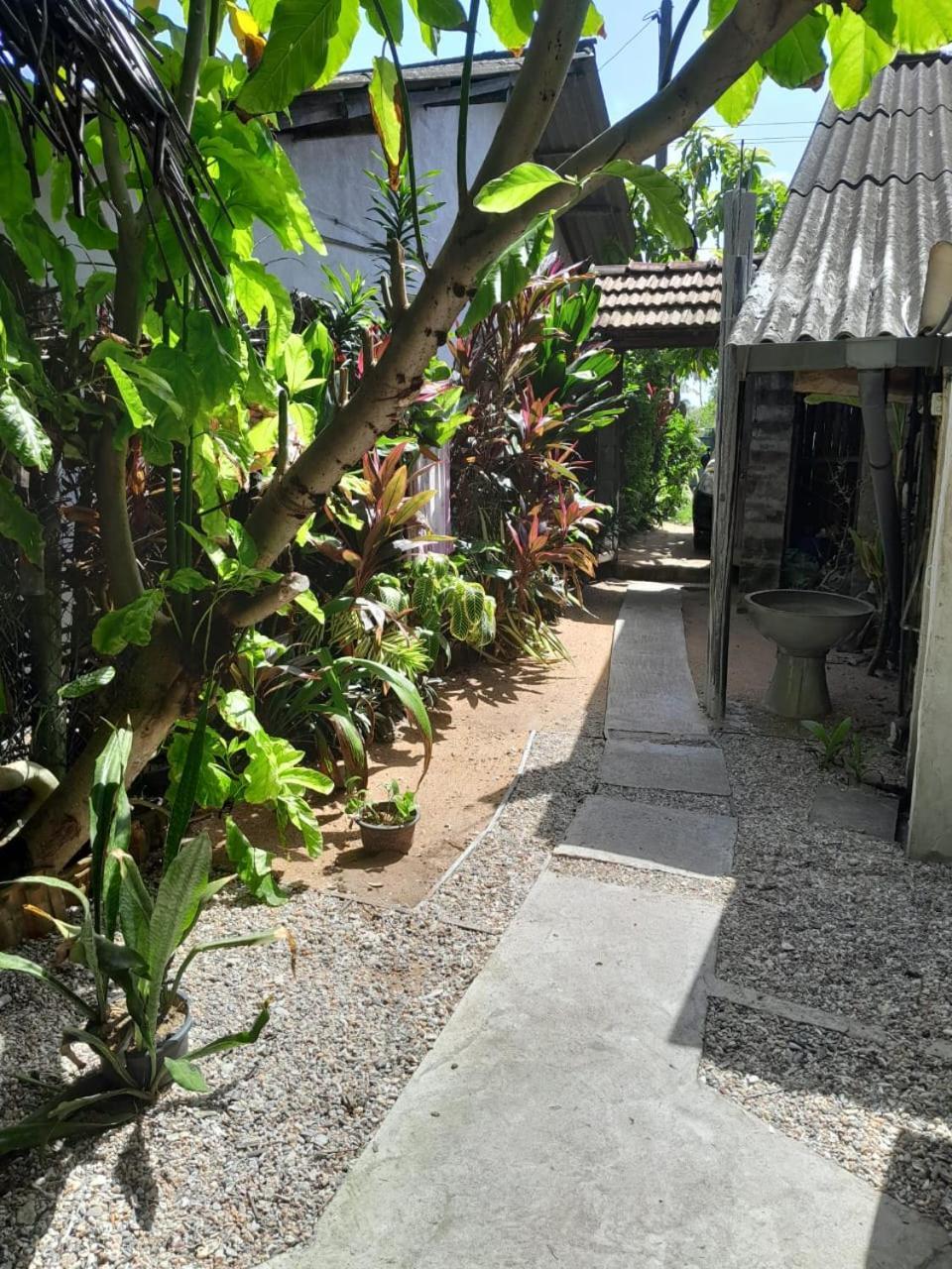 Brother'S Beach Home Bussa Екстериор снимка